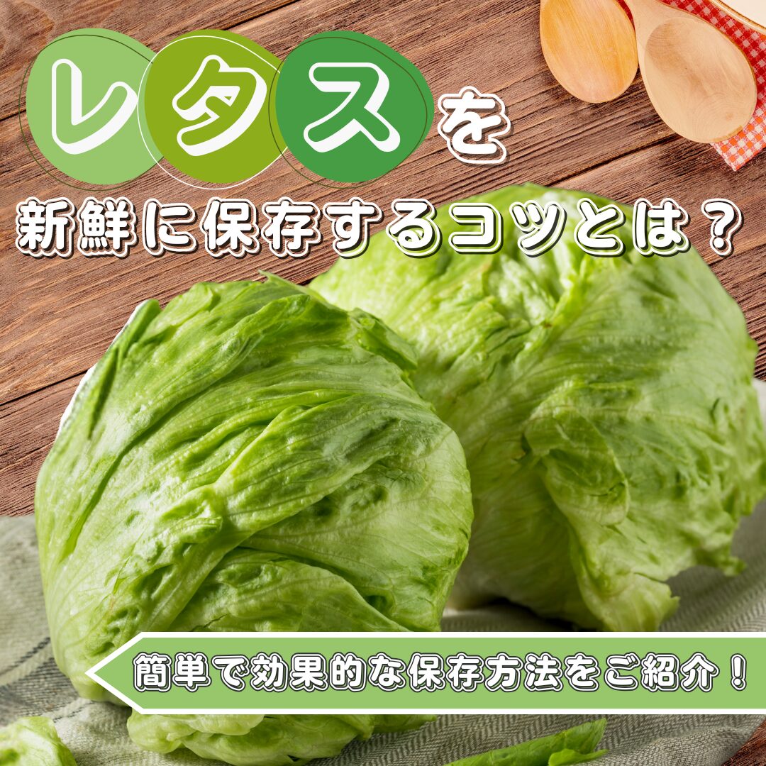 レタスを新鮮に保存するコツとは？簡単で効果的な保存方法をご紹介！