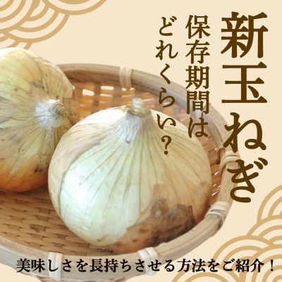 新玉ねぎの保存期間はどれくらい?美味しさを長持ちさせる方法をご紹介!