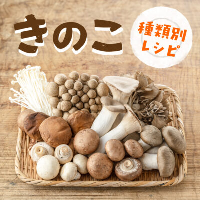 きのこの種類はどれくらいある？おすすめのレシピや栄養素を解説