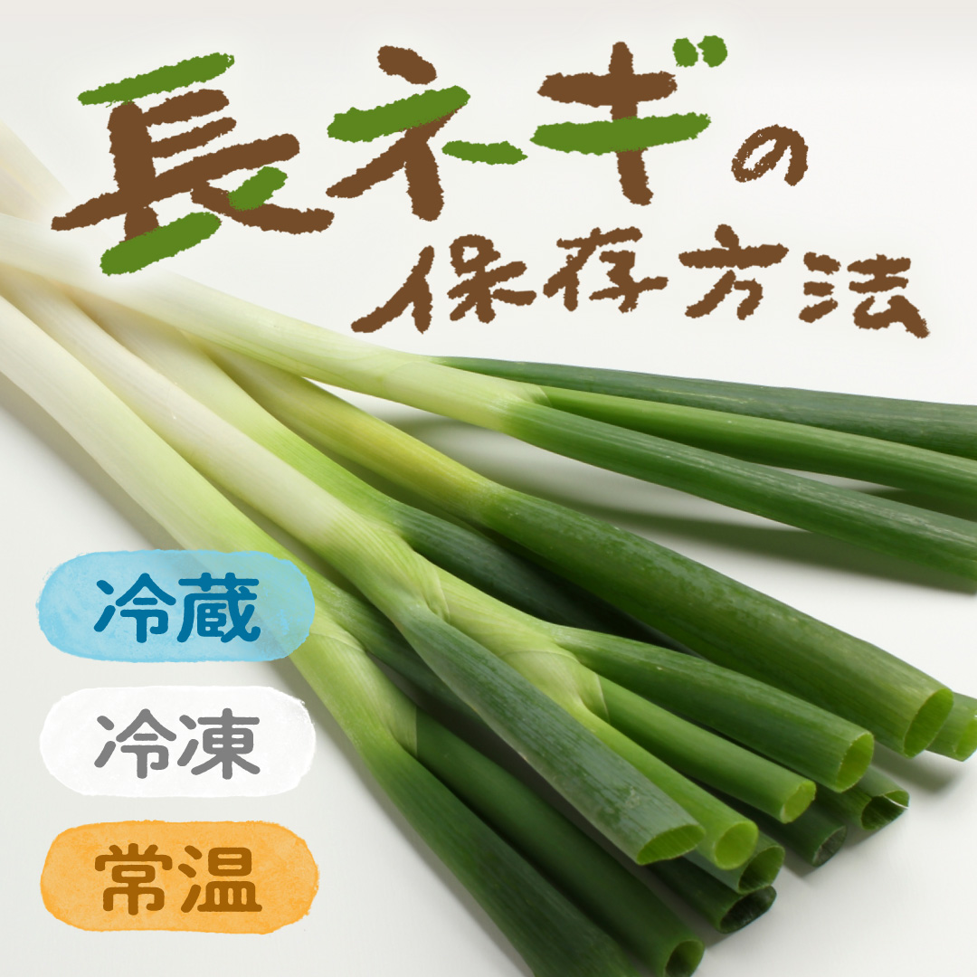 長ネギの適切な保存方法とは？おすすめレシピもご紹介